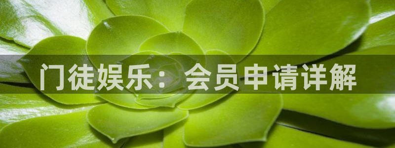 华信娱乐官网