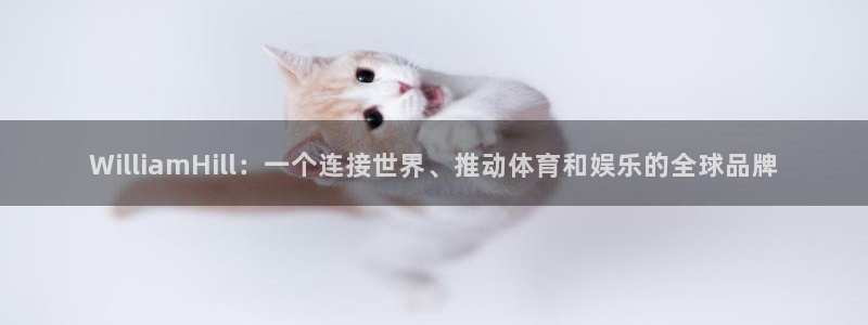 华信娱乐平台官网登录入口