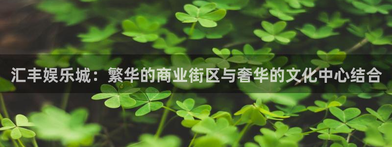 华信娱乐下载链接是多少
