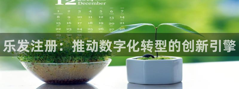 壹号电子娱乐app下载官网