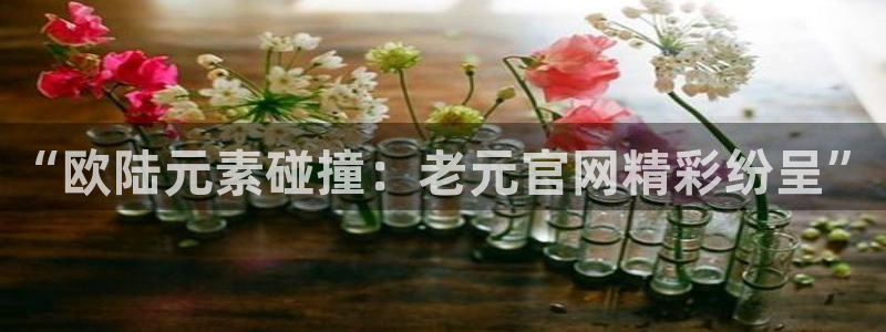 华信娱乐账号注册入口