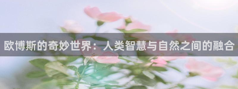 华信娱乐官网下载