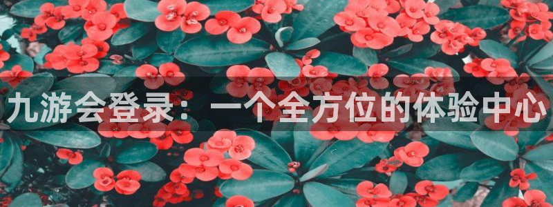 华信娱乐ccm赏金女王