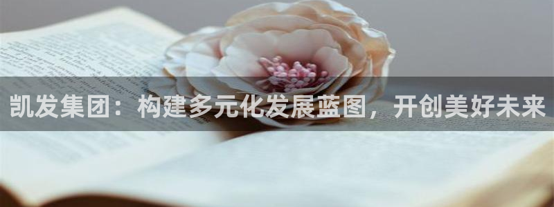 华信娱乐网站：凯发集团：构建多元化发展蓝图，开创美好未来