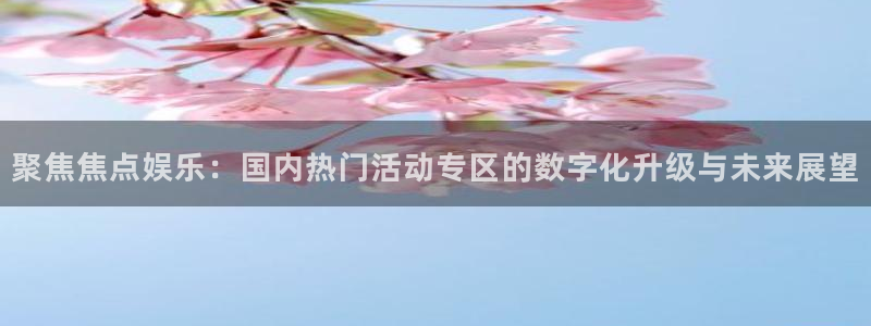 壹号app官方登录入口下载：聚焦焦点娱乐：国内热门活动专区的数字化升级与未来展望