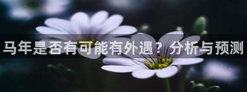 华信娱乐软件：马年是否有可能有外遇？分析与预测