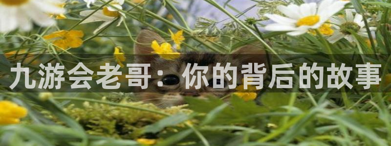 华信娱乐vip麻将胡了：九游会老哥：你的背后的故事