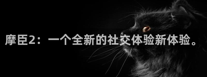 华信娱乐电子娱乐官网下载：摩臣2：一个全新的社交体验新体验。