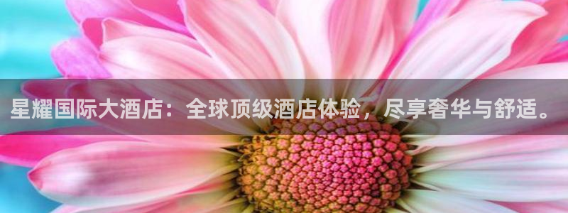 华信娱乐官网：星耀国际大酒店：全球顶级酒店体验，尽享奢华与舒适。