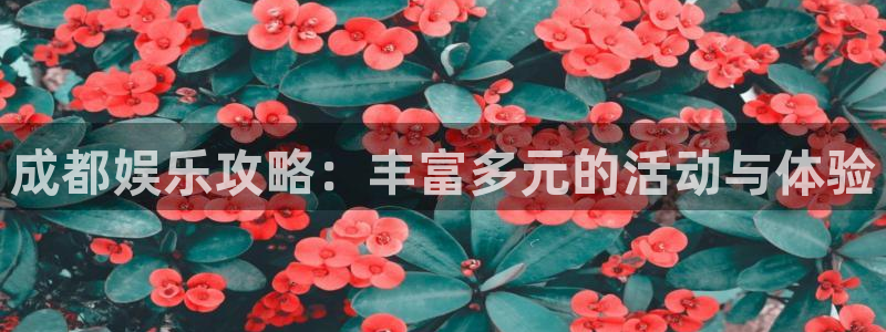 华信娱乐app下载安装：成都娱乐攻略：丰富多元的活动与体验