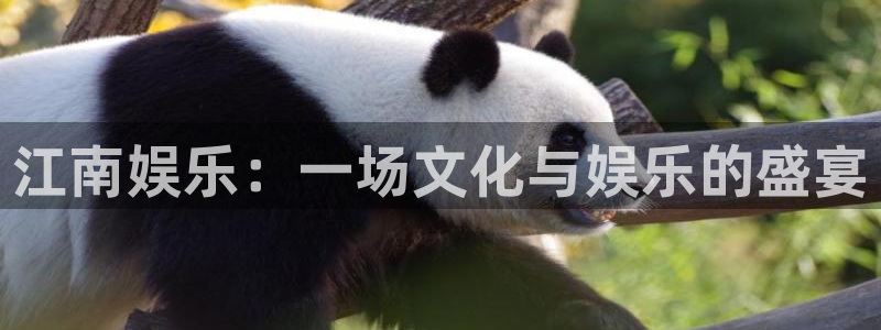 华信娱乐游戏官网入口：江南娱乐：一场文化与娱乐的盛宴