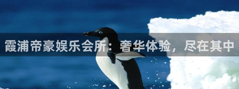 华信娱乐.ccmpc29官网版下载：霞浦帝豪娱乐会所：奢华体验，尽在其中