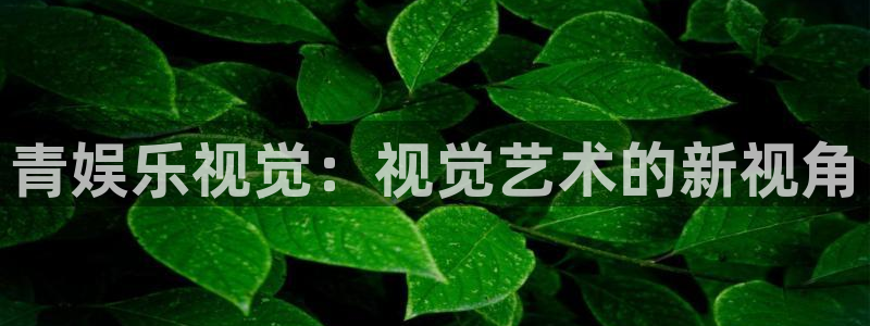 壹号top娱乐：青娱乐视觉：视觉艺术的新视角