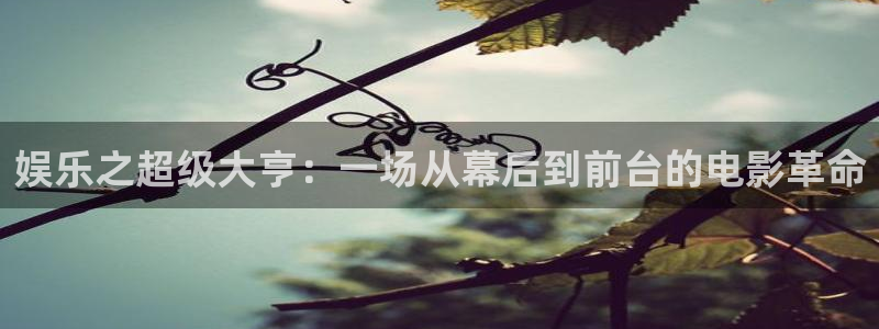 壹号玩家app下载：娱乐之超级大亨：一场从幕后到前台的电影革命