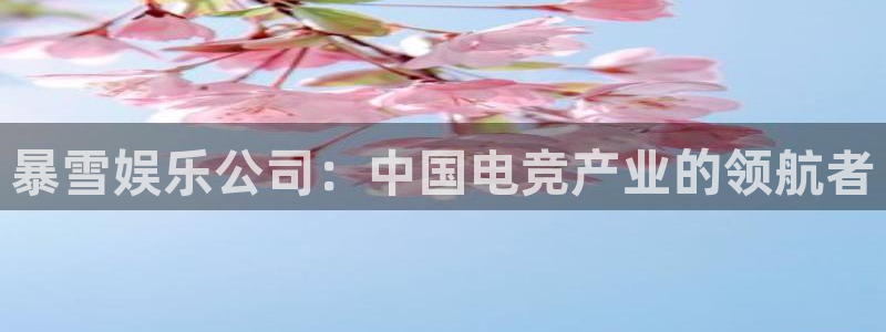 华信娱乐官网地址：暴雪娱乐公司：中国电竞产业的领航者