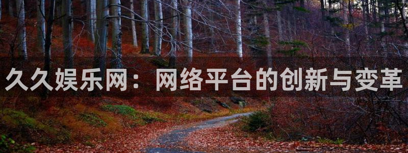 华信娱乐游戏试玩：久久娱乐网：网络平台的创新与变革