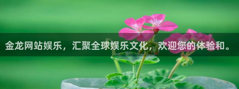 华信娱乐.ccm：金龙网站娱乐，汇聚全球娱乐文化，欢迎您的体验和。