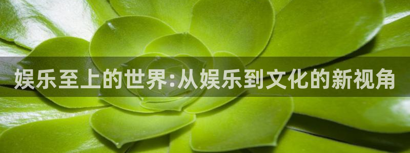 华信娱乐平台官网版最新：娱乐至上的世界:从娱乐到文化的新视角