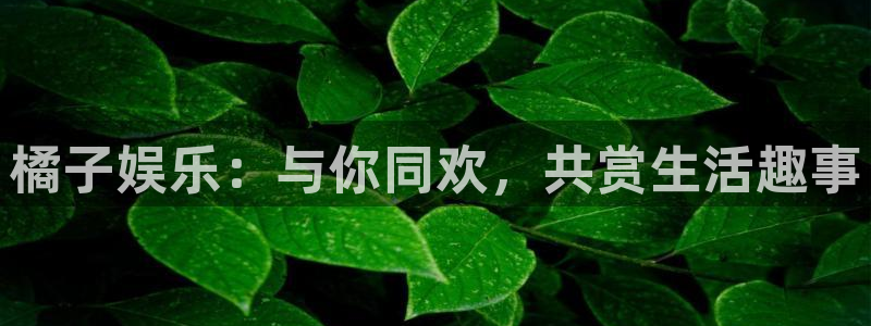 华信娱乐注册网站：橘子娱乐：与你同欢，共赏生活趣事
