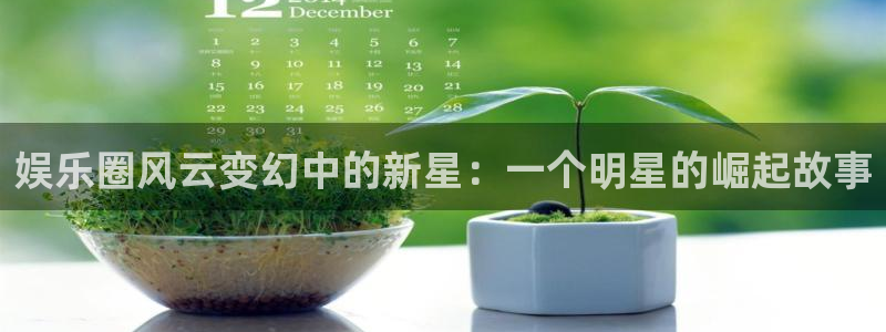 华信娱乐ccmpc麻将胡了：娱乐圈风云变幻中的新星：一个明星的崛起故事