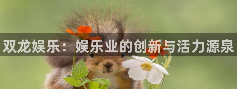 华信娱乐官网下载：双龙娱乐：娱乐业的创新与活力源泉