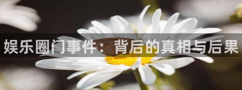 华信娱乐网站平台登录：娱乐圈门事件：背后的真相与后果