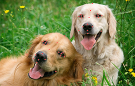 华信娱乐登录:AI为人赋能人为AI赋魂